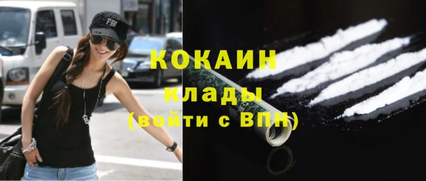 дживик Арсеньев