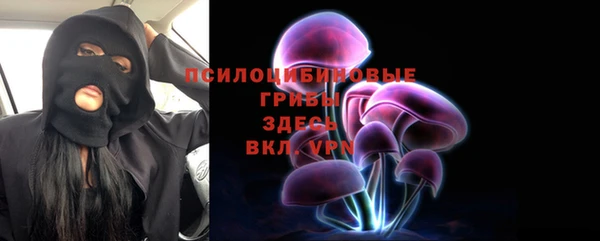 дживик Арсеньев