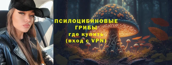 ECSTASY Армянск