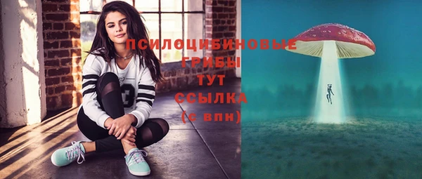 спиды Аркадак