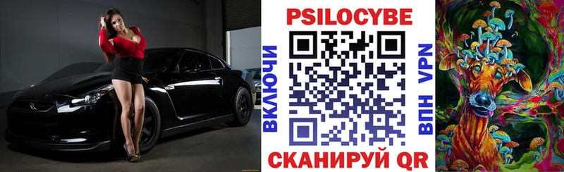 Псилоцибиновые грибы Cubensis Верхняя Салда