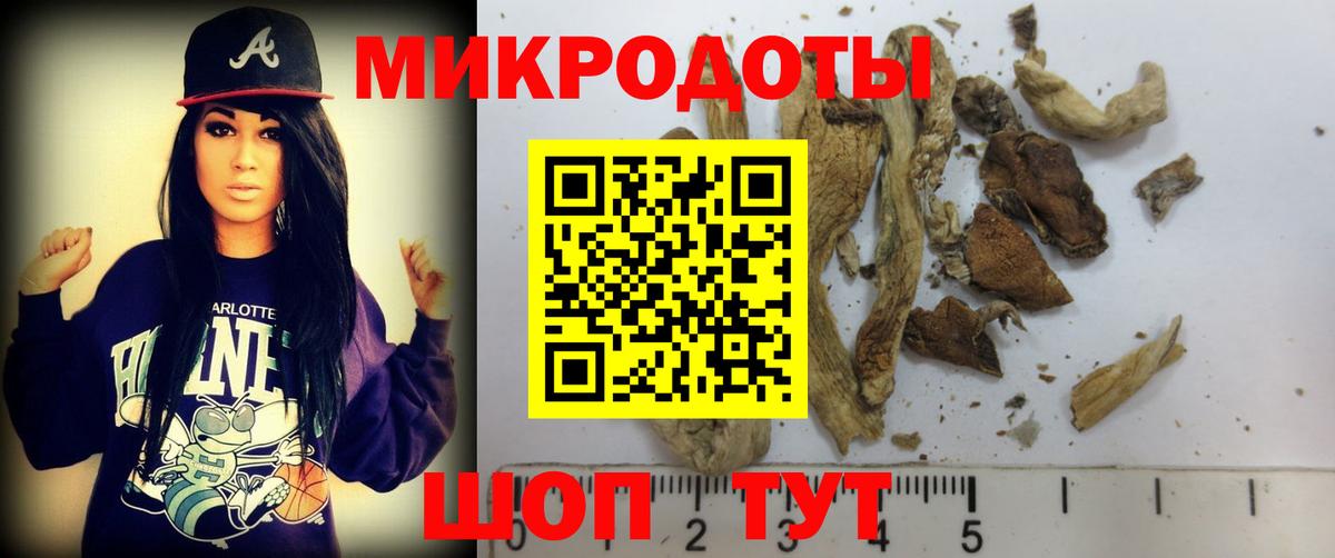 Верхняя Салда  Псилоцибиновые грибы GOLDEN TEACHER  Вход с VPN 